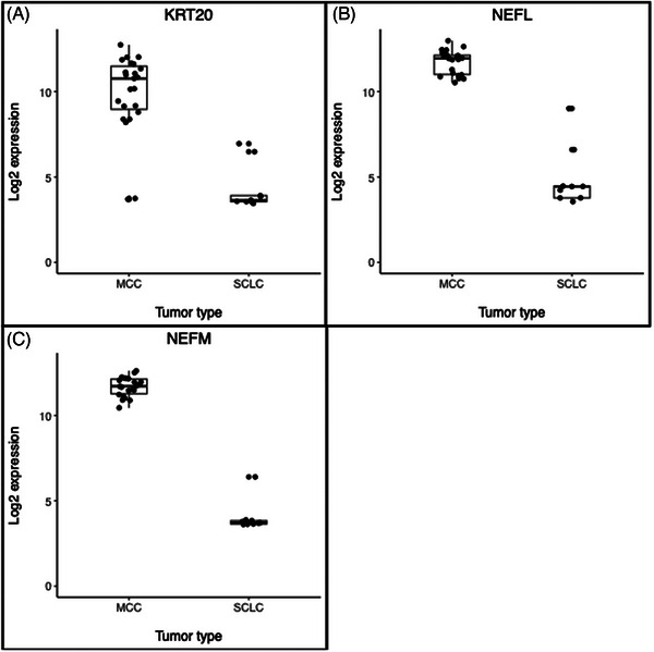 FIGURE 3