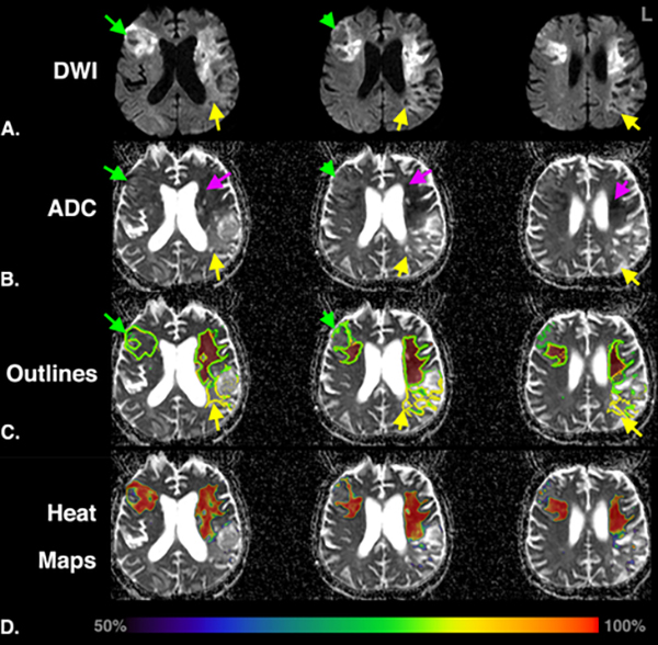 Figure 2: