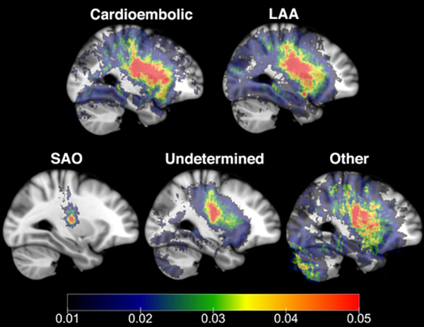 Figure 5: