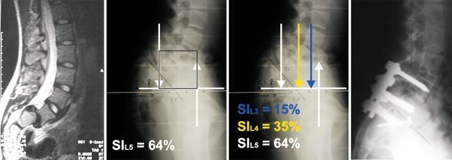 Fig. 3