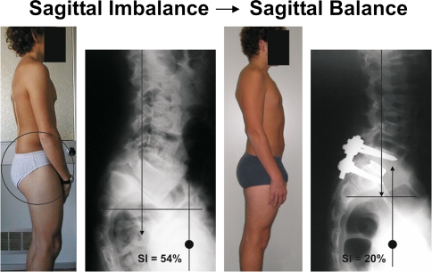 Fig. 4