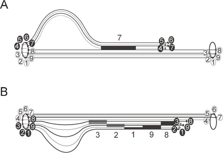 Figure 10. 