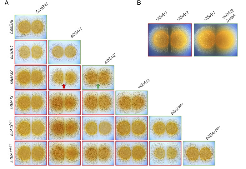 Figure 4.