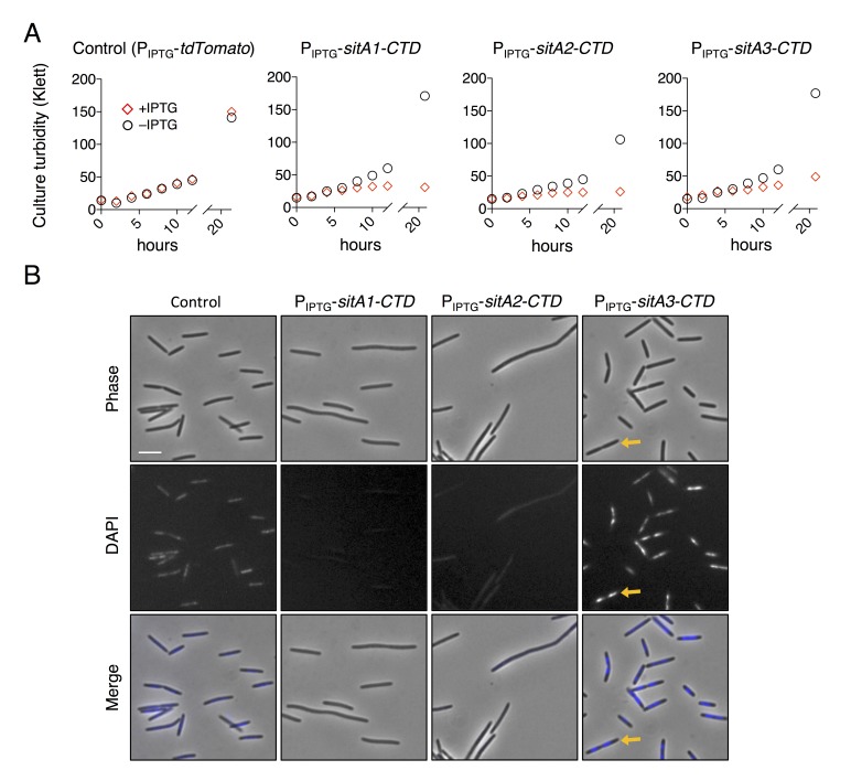 Figure 2—figure supplement 2.