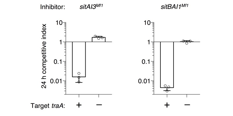 Figure 2—figure supplement 3.