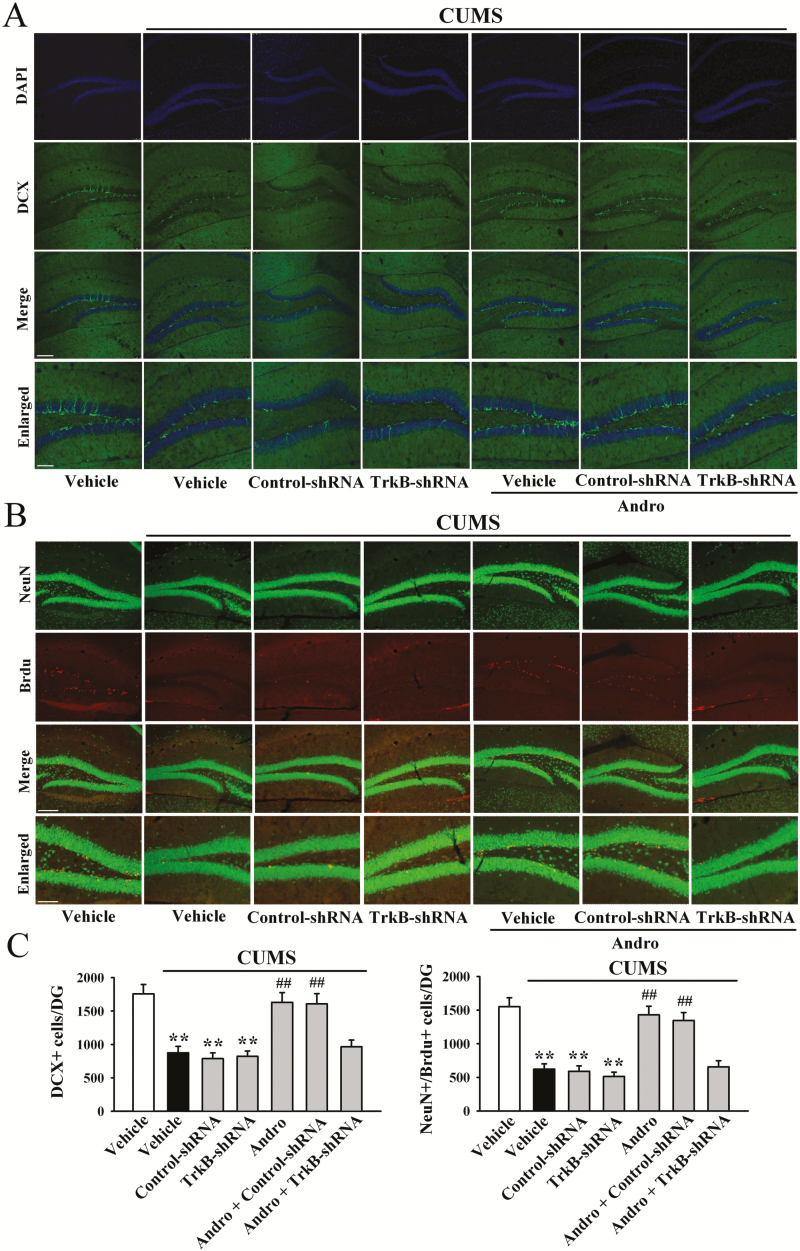 Figure 10.