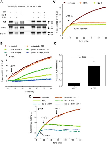 FIG. 6.