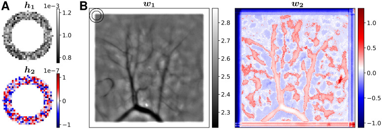 Fig 9