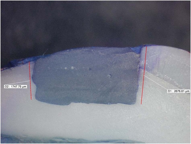 Fig. 5
