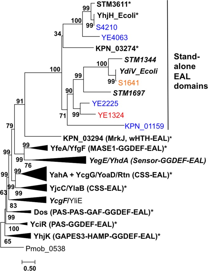 FIG 2