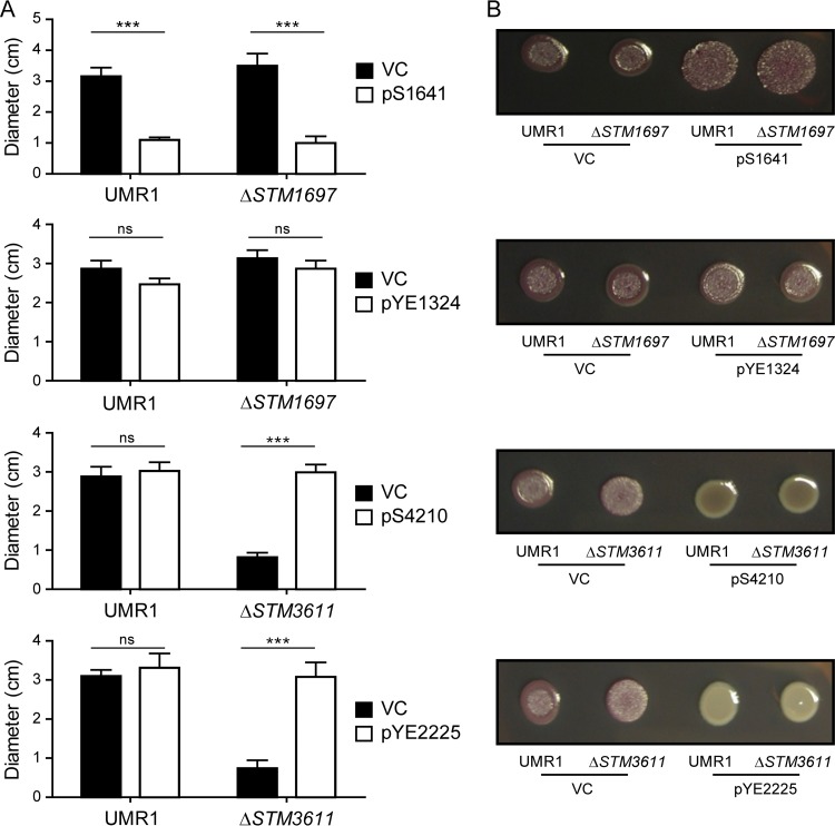 FIG 3