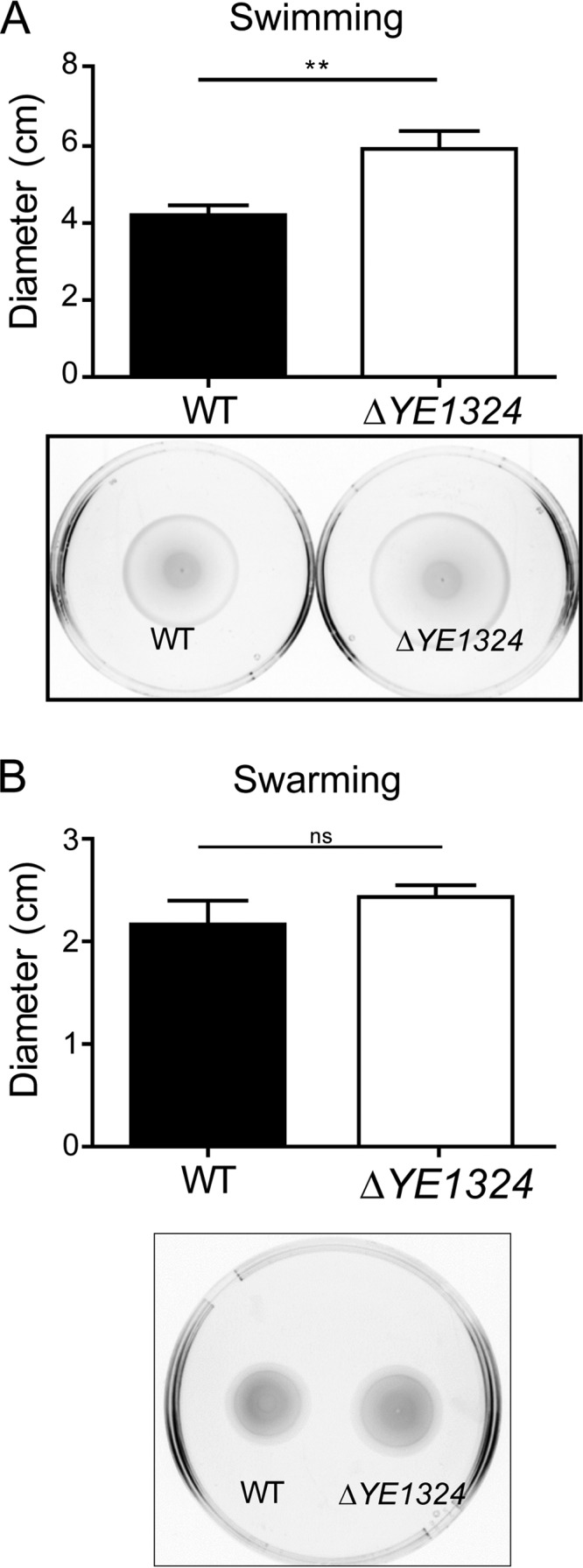 FIG 6