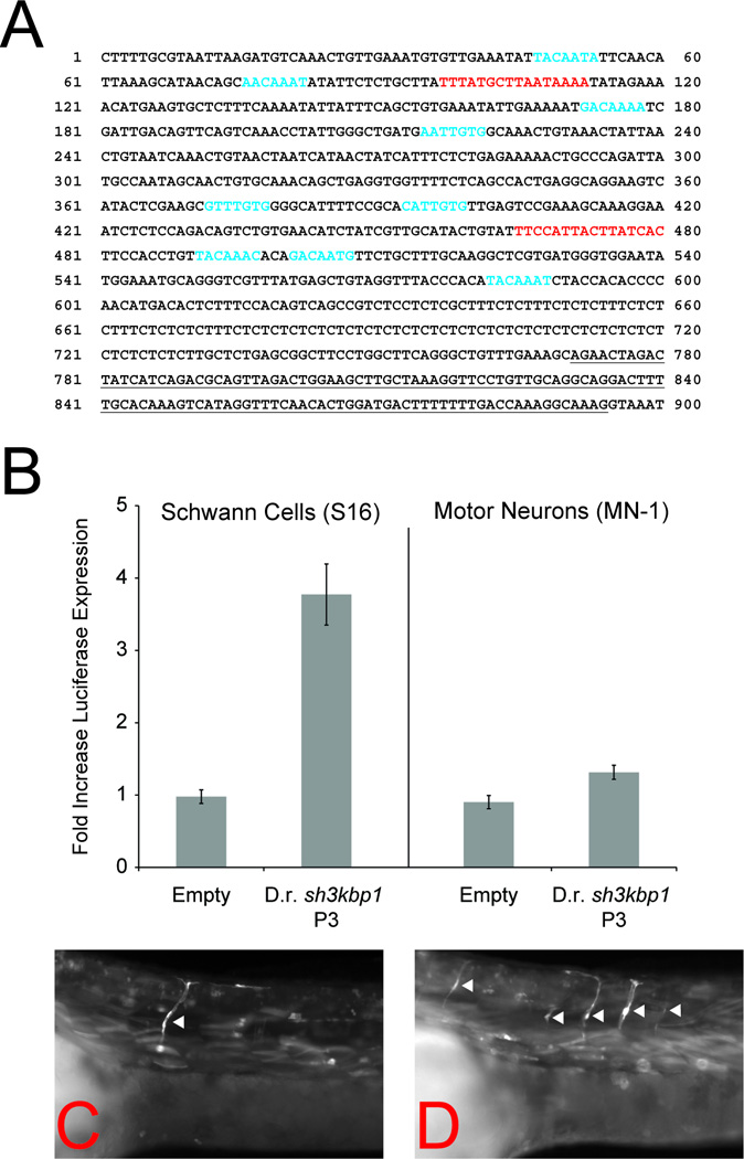 Fig. 9