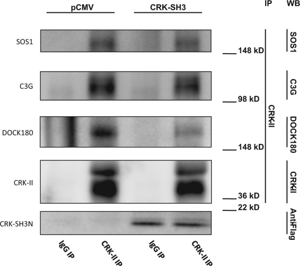 Figure 5.