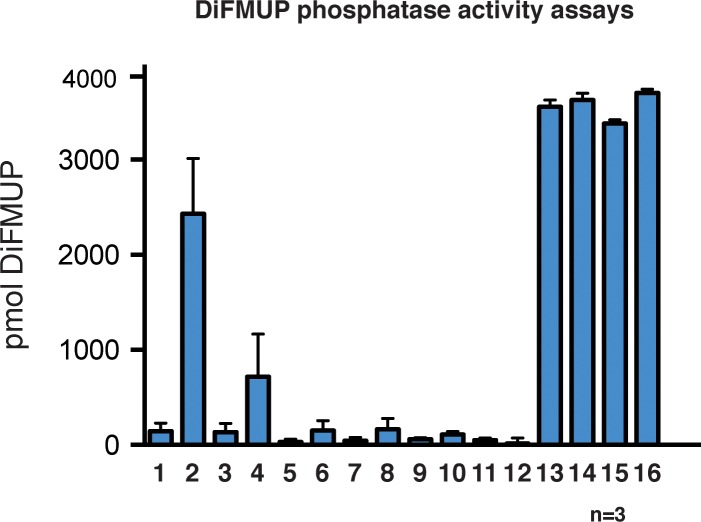 Figure 6—figure supplement 1.