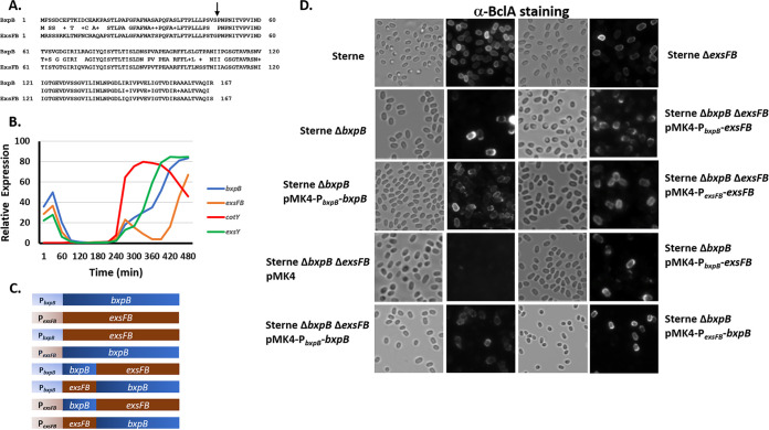 FIG 2