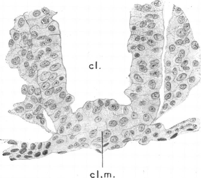 Fig. 16