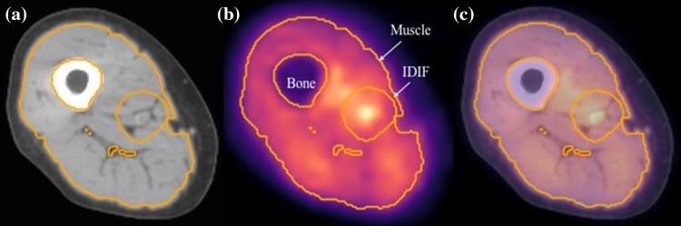 Fig. 2