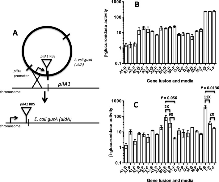 Fig. 9