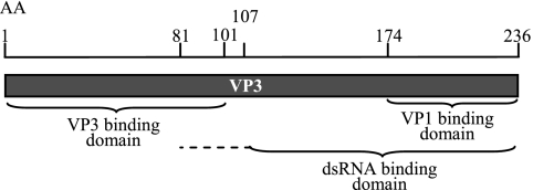 FIG. 8.