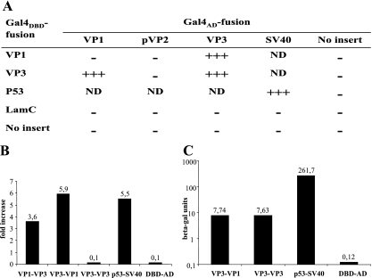 FIG. 2.