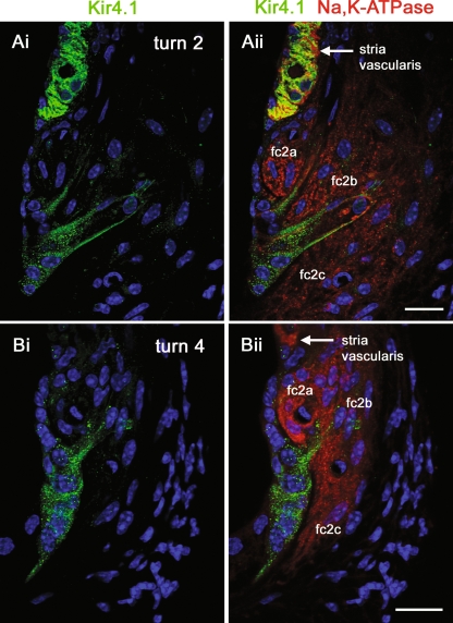 FIG. 7