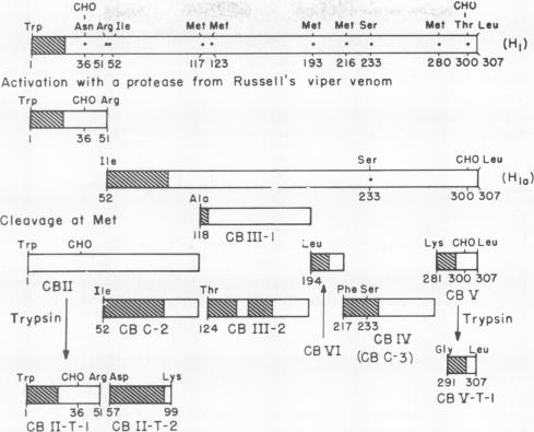 graphic file with name pnas00051-0253-a.jpg