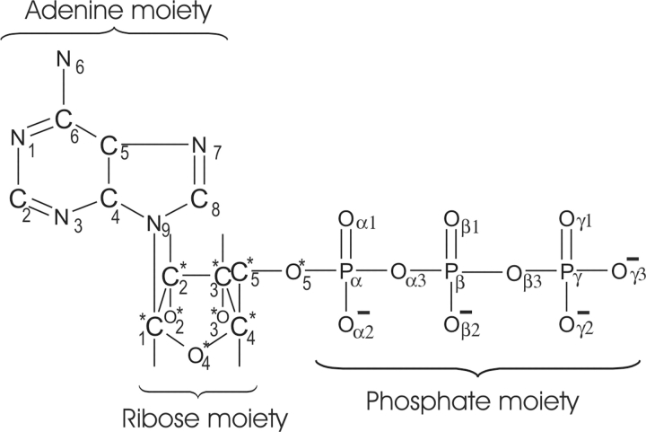 Scheme 2.