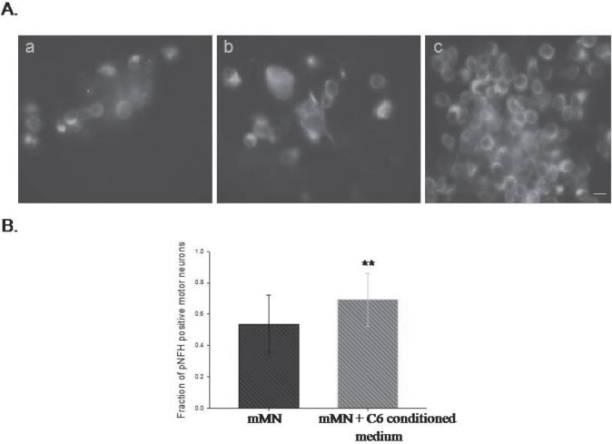 Fig. 6: