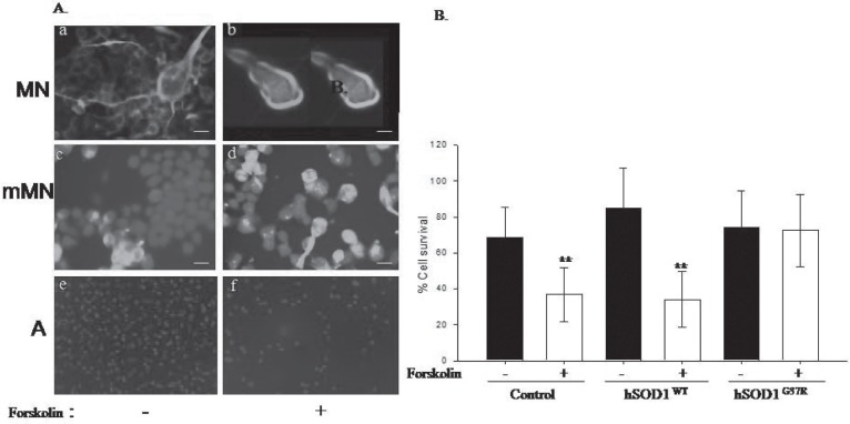 Fig. 2: