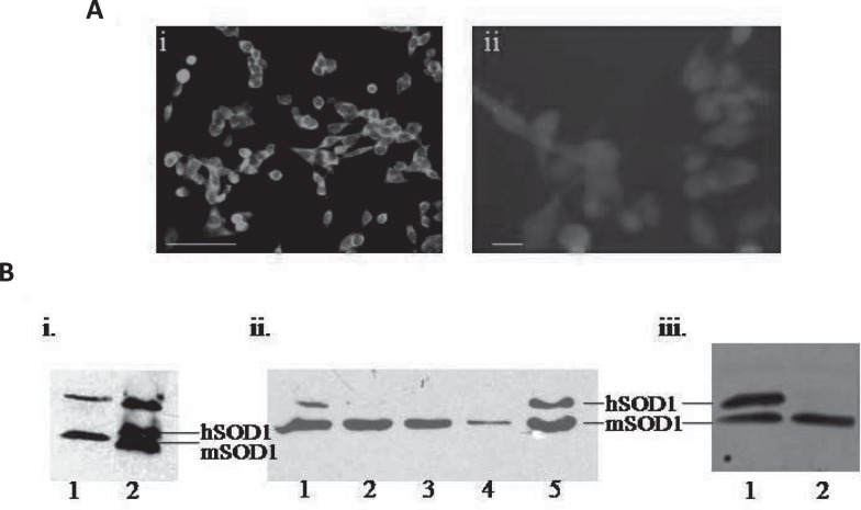 Fig. 1: