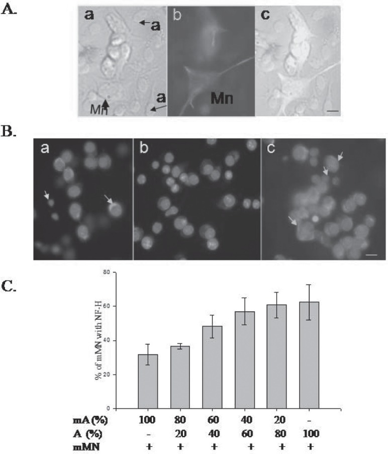 Fig. 5: