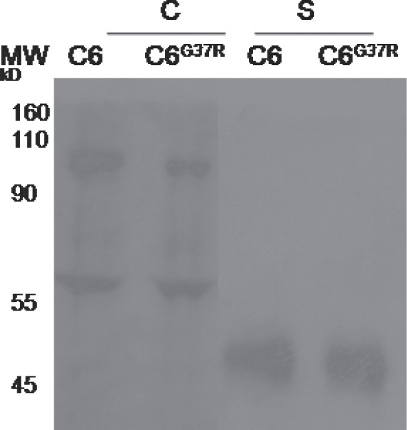 Fig. 7: