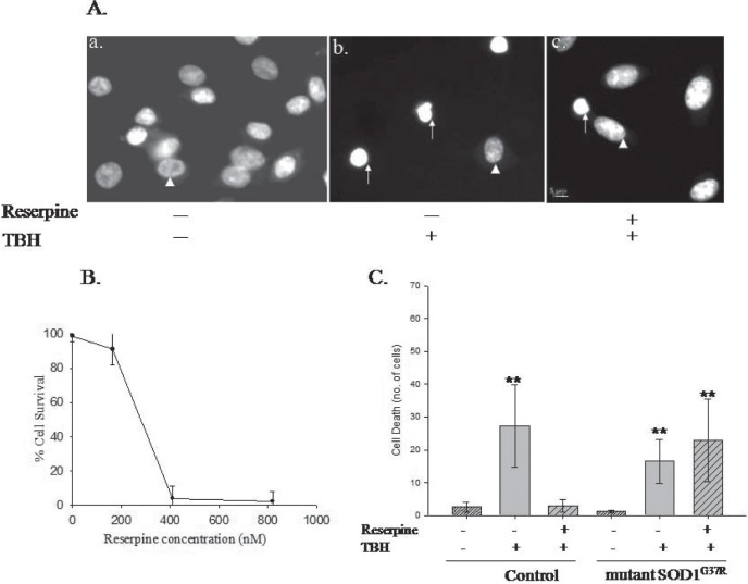 Fig. 4: