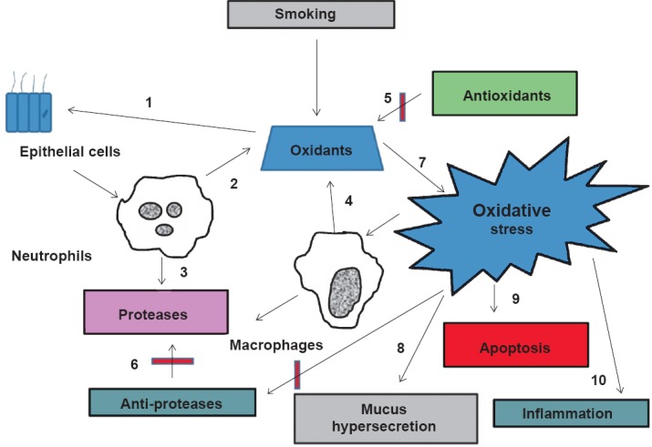 Fig. 1