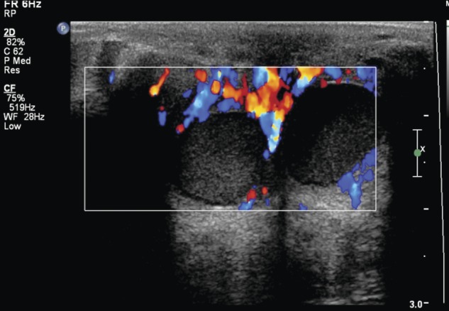 Figure 2: