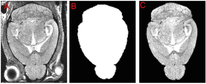 Figure 11.