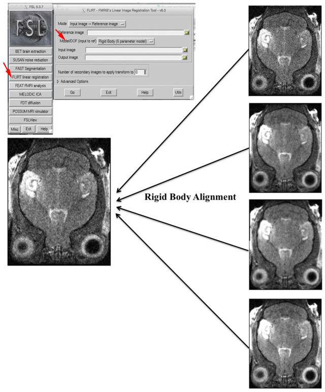 Figure 6.