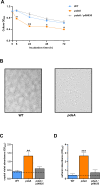 Fig 5