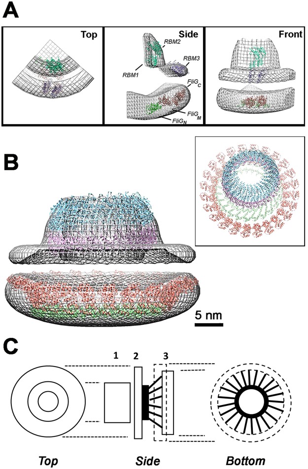 Figure 5