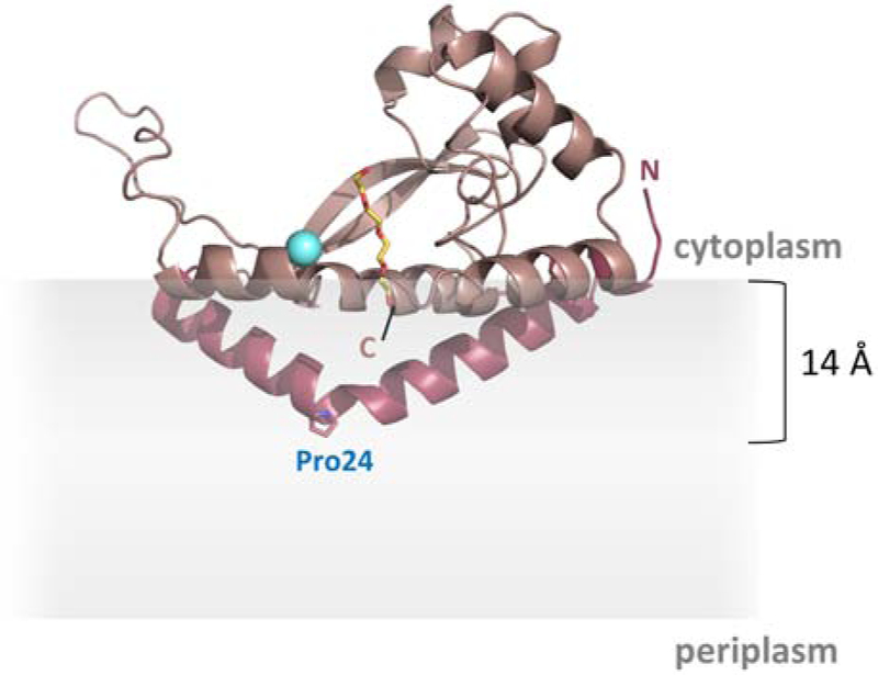 Fig. 2 –