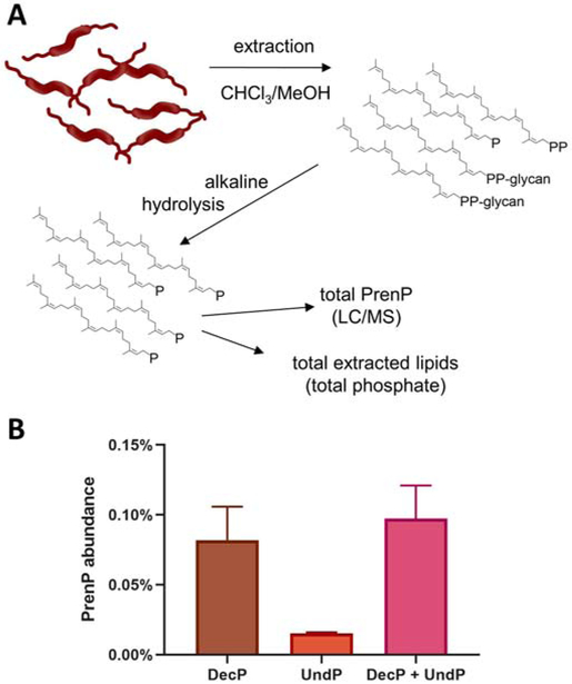 Fig. 3 –