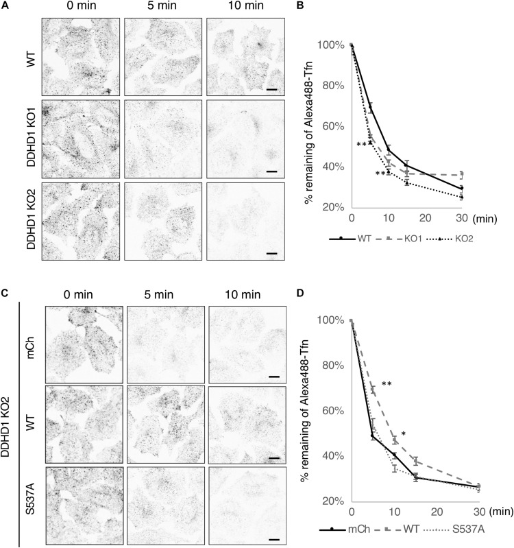 FIGURE 4