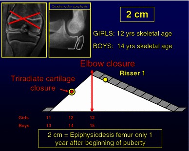 Fig. 14