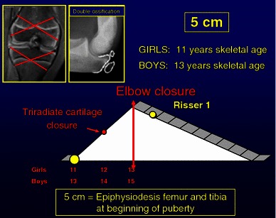 Fig. 11