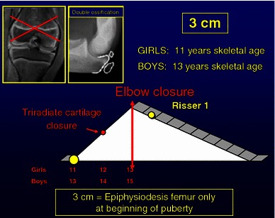 Fig. 13