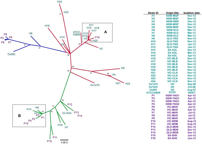 Figure 2