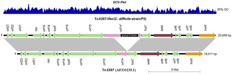 Figure 5