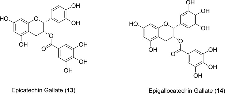 Fig. (7)