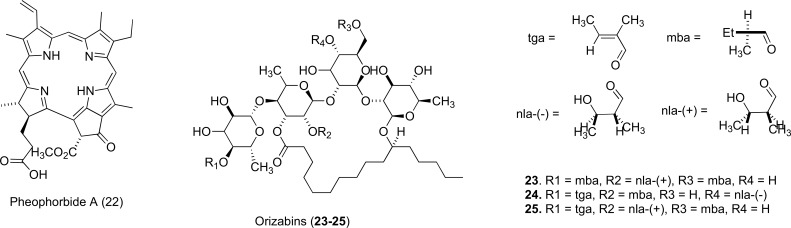 Fig. (11)